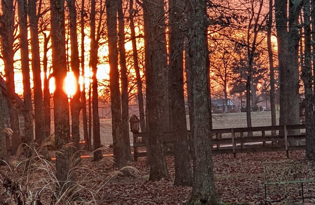 Serenity Country Cottage Farm