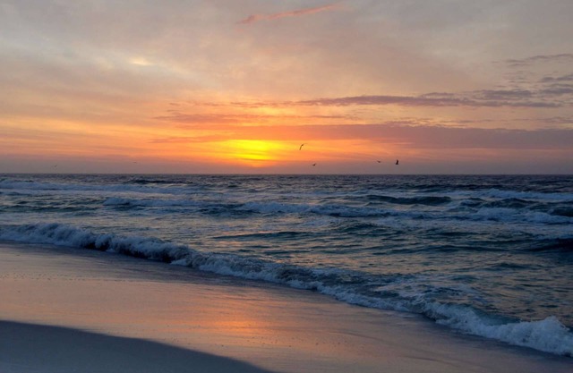 Seychelles by iTrip Panama City Beach