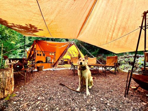 Shirasu-Ojiro FLORA Campsite in the Natural Garden - Vacation STAY 70013v