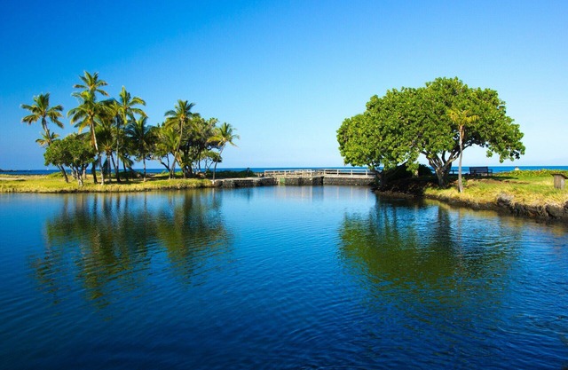 Shop, dine, and explore in Union City !