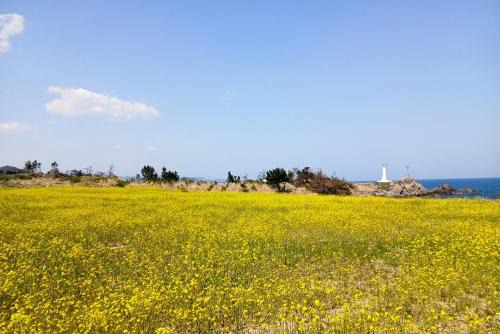 Sinpo Port TITF Caravan