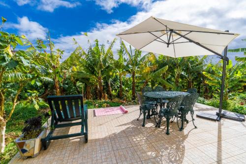 Sleep Among the Bananas! Rustic Cottage with Trails at Your Doorstep