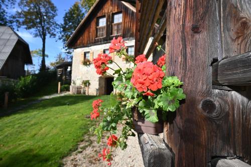 SLO-ETNO HOUSE GOSTECE-Vintage Apartma