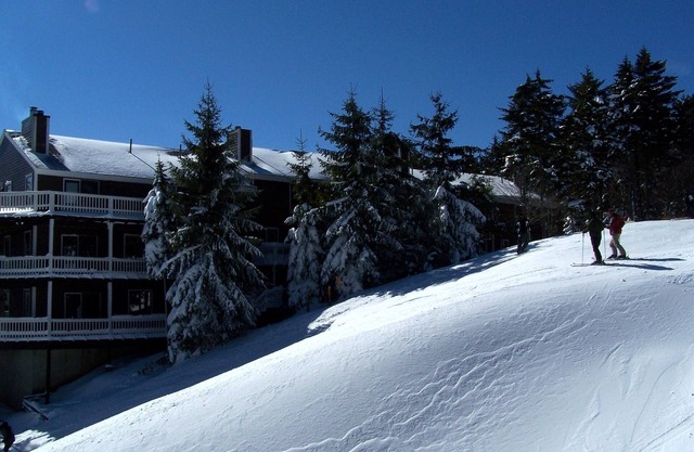 Stemwinder Snowshoe 
