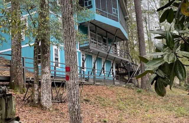 Smurf House on Thomas Mill