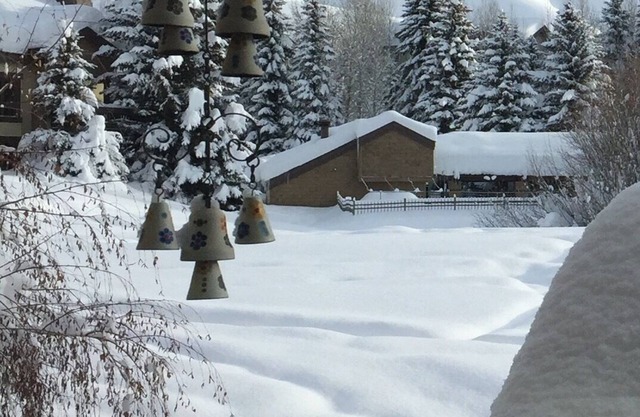 Snowshoe out the back door. Time to think snow!