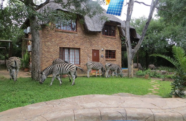 SOLAR! Safari in the garden, private viewing decks. Enjoy the bush and relax!