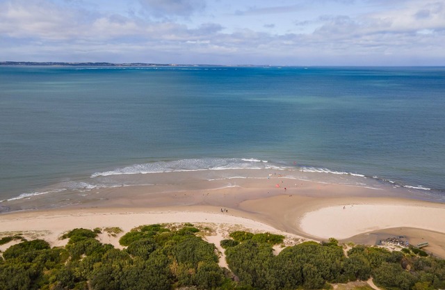 Somers Dunescape across from the beach