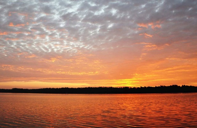 South Arm Retreats Standard Room 1