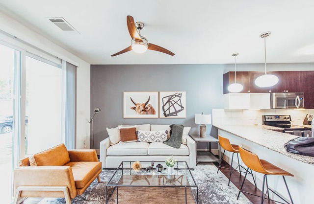 South Lamar Modern Apartment