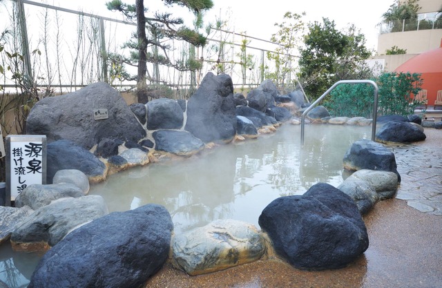 Spa & Hotel Maihama Eurasia