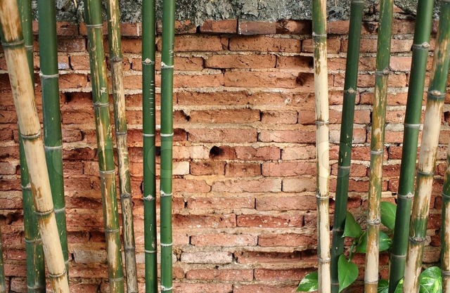 Spacious 5-bedroom condo with AC and WiFi in beautiful St. Louis