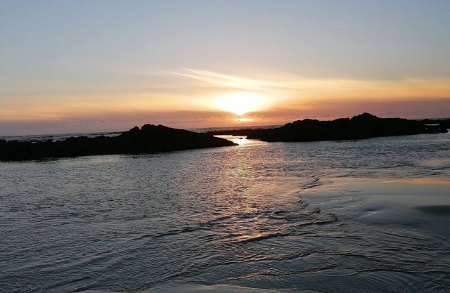 Spacious and bright apartment just a stone's throw from the beach and pine forest