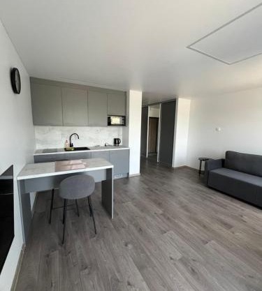Spacious, cozy place in Vilnius