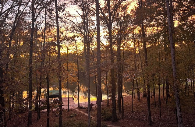 Spacious private home on Lake Oconee- located in a quiet cove.