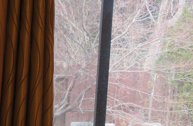 ★ Spacious Room 1♚Qn-Bed✚Shared Ensuite-Beryl