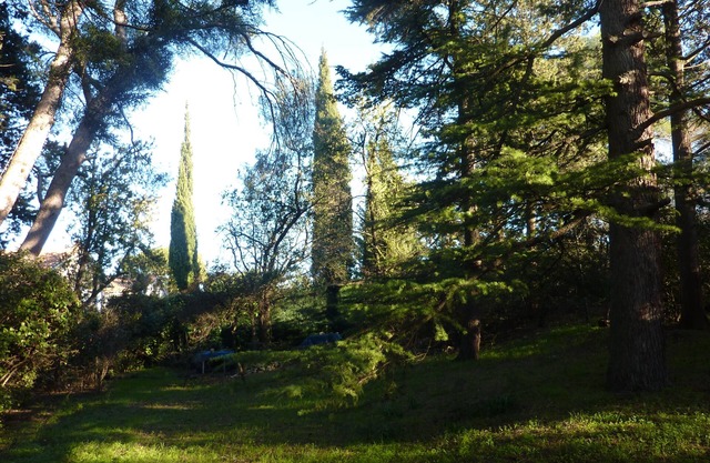 Spacious villa (220m2) on the heights, near Tour Magne