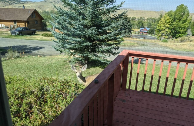 Splendid Absaroka Mountain and Greybull River View