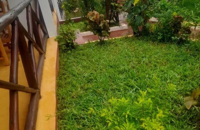 Standard Twin Room- Garden View