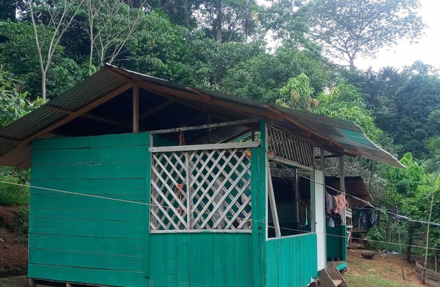 Stay in our Bribri tribe 5 minutes from the river