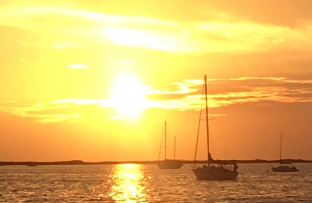 Stay in Paradise