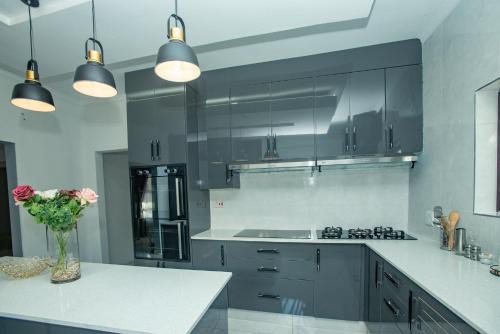 Stegor Suites