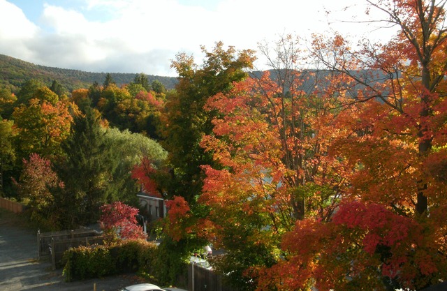 Studio 3 BEDS-SLP 3. Downtown Windham. Next to the Ski Resort. Close to Hunter