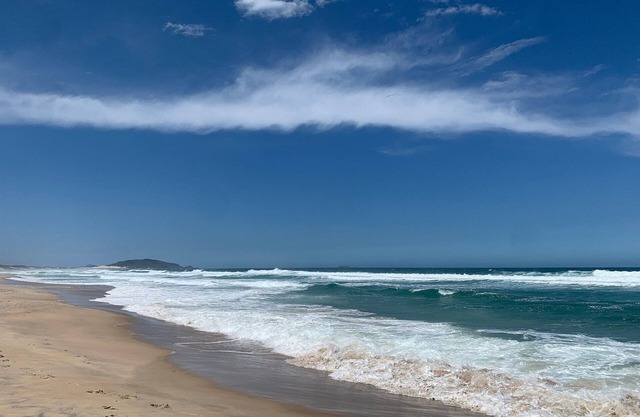 Studio Alecrim - Aromas do Campeche