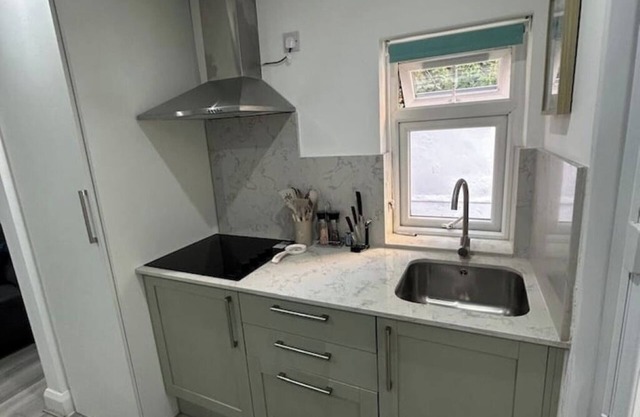 Studio apartament in Clapham