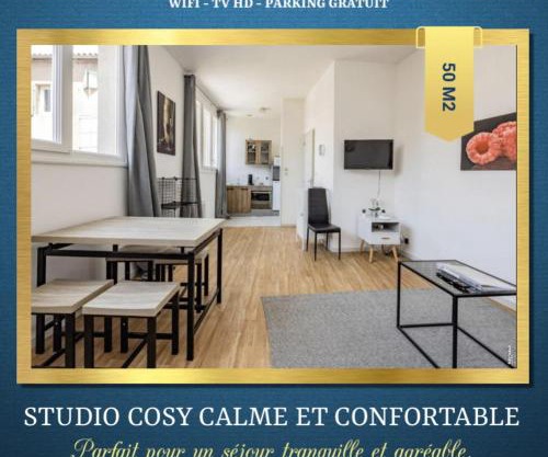 STUDIO COSY - HYPERCENTRE - CALME - 50M2 - Wi-FI