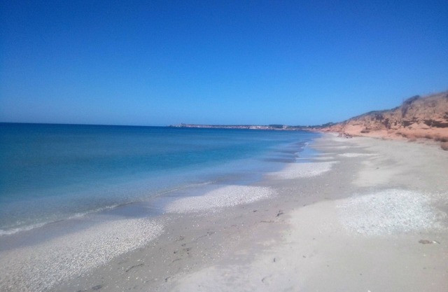 Studio facing the sea Funtan Meiga