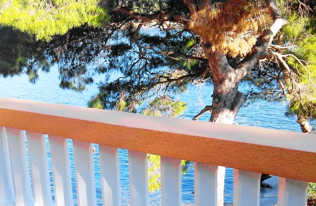 Studio flat near beach Sobra, Mljet (AS-7531-b)