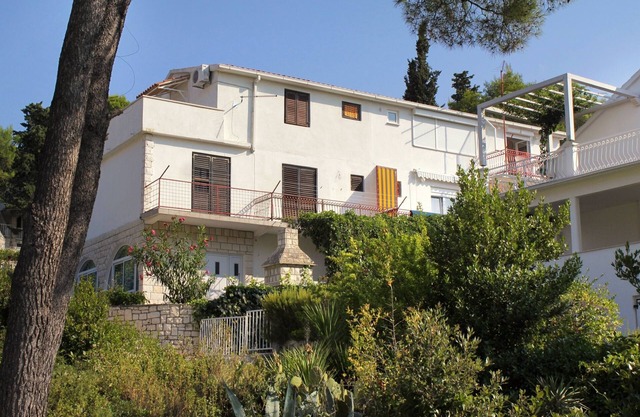 Studio flat with balcony and sea view Sutivan, Brač (AS-5629-a)