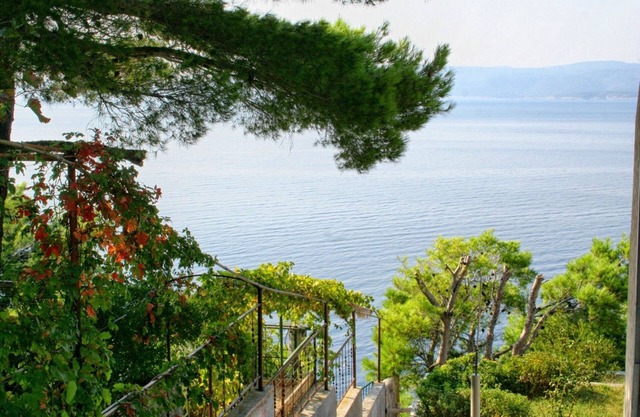 Studio flat with terrace and sea view Marušići, Omiš (AS-1024-d)