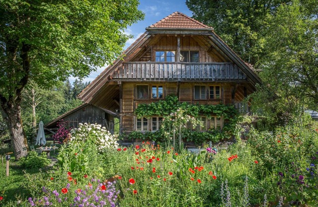 Studio in farmhouse, biodiverse with pond & sauna, pure nature
