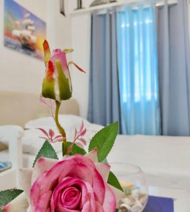 Studio Marine Theme by Emman & Jovy Staycation