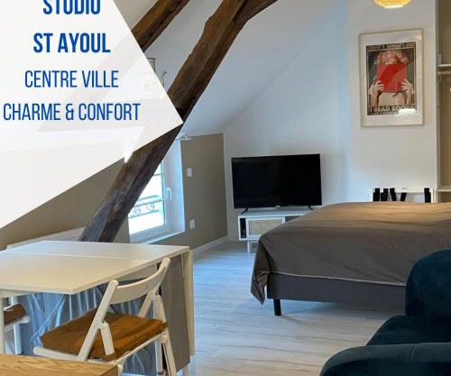 Studio Saint Ayoul