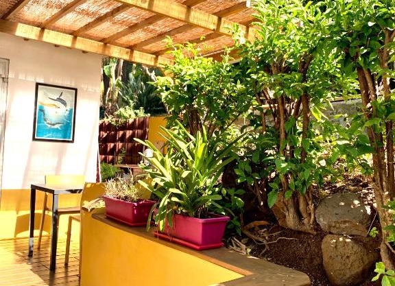 studio Ti caz bonheur