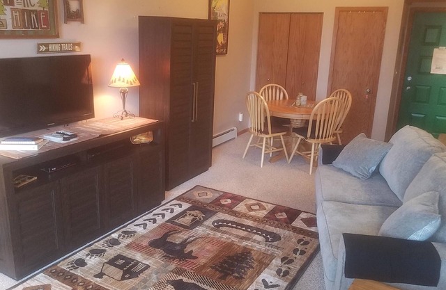 Studio, Wildernest area Silverthorne Co