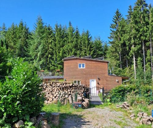 Sublime forêt