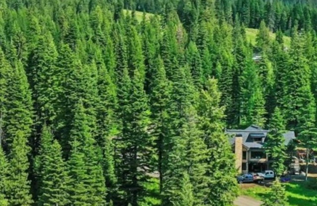 Sugarloaf Summit @ Tamarack Resort | Insta-Worthy SKI IN/OUT Mountain Modern Estate