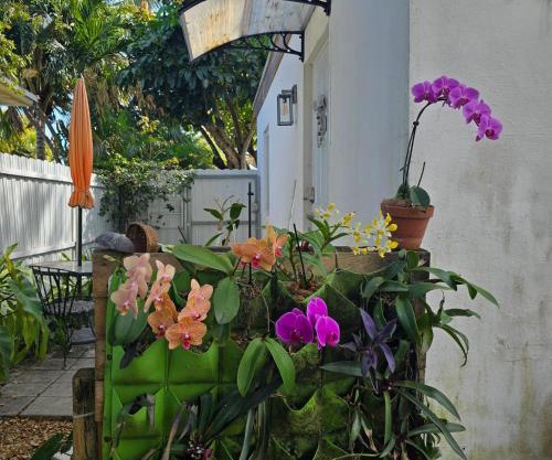 Suite Life at Chez Mercedes