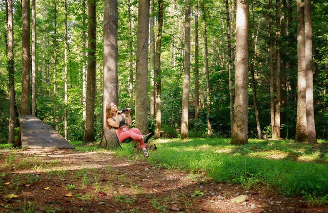 Summer Breeze cabin at Cabin Fever in NC!