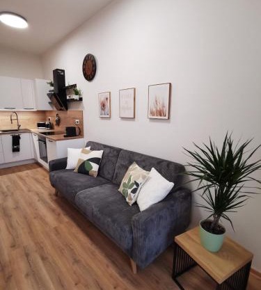 Sunny Balcony Apartment Brno