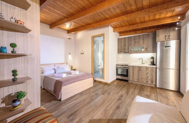 Sunny Luxury Apartment 02