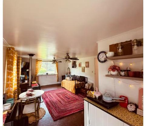 Sunny Spacious 2BR, 1BA Kitchenette plus Amenities DC East - PG County