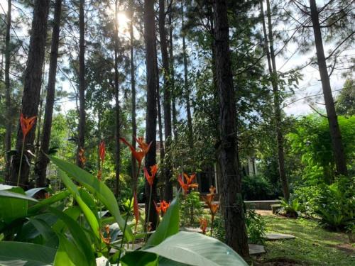 Suoi Rao Ecolodge