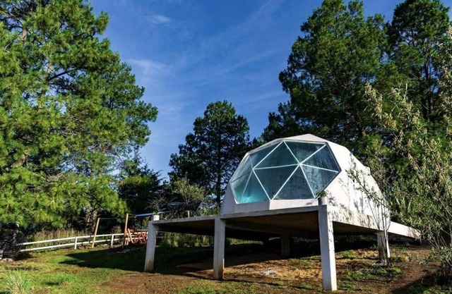 super domo panorámico en el bosque