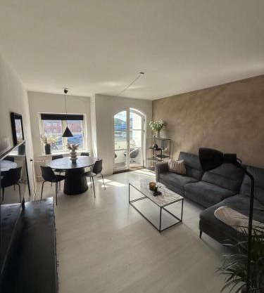 Superb apartment in central Copenhagen