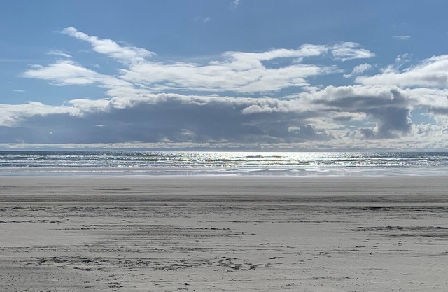 Surf Pines gated community, Oceanfront with Gym!